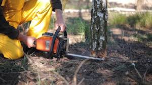 Best Pest Control for Lawns  in Paddock Lake, WI